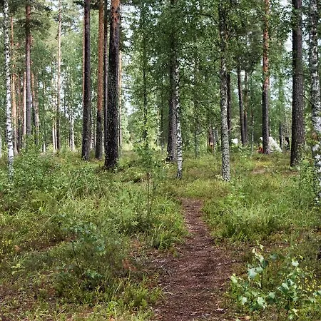 4414 Апартаменты Виерумяки