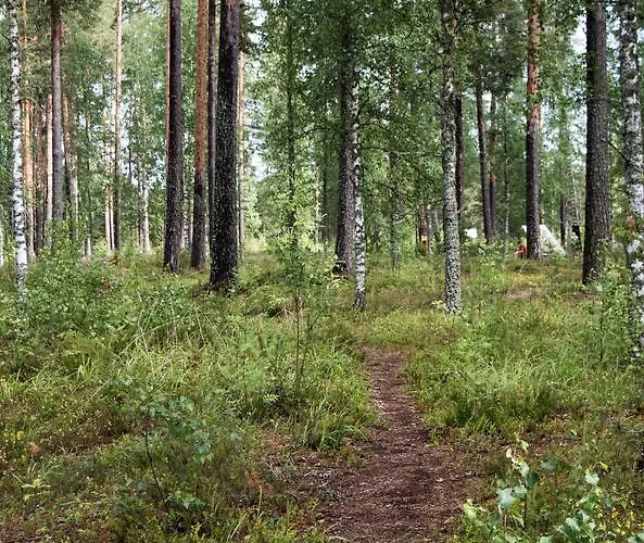 4414 Appartement Vierumäki